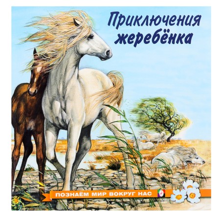 “We know the world around us. Adventures of the foal ", 16 p.