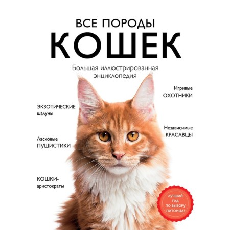 All breeds of cats. Big illustrated encyclopedia. Yaroshchuk A.I., Romanova L.V.