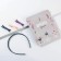 Formation and hairpins for hair (3 pcs.) "Your dreams are your future", a set