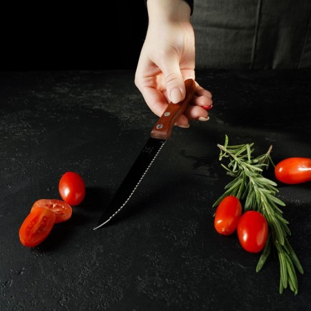Knife Kitchen shade "Elbrus", gear blade 11.5 cm-4