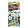 Eustoma flower seeds "Corelly", F1, White, test tube, 5 pcs