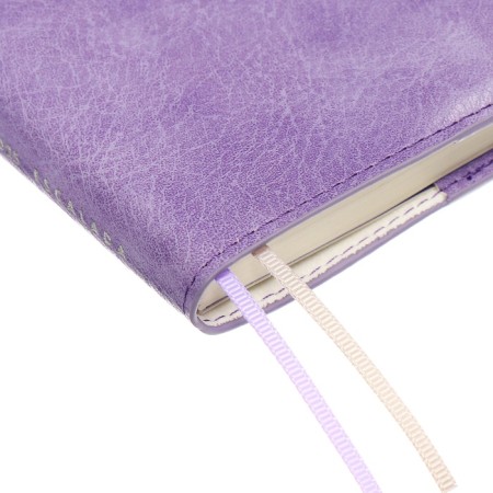 Diary DATIR 2025 A6+ 176l Escalada, Soft Okvl, Single Leather, TIS F, KR BL 70g/M2, Sire-I-5