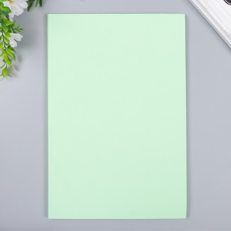 Foamiran "Light Salad" 2 mm (set of 5 sheets) A4 format format-3