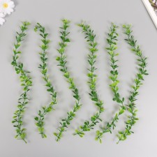 An artificial plant for creativity 