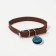 Dog collar "My favorite" with an addressee, Osh 27-34 cm