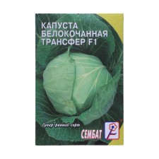 White cabbage seeds 