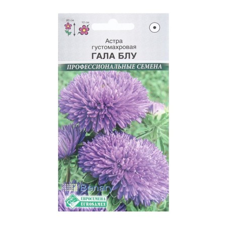 Flower seeds Astra densely Gala Blu, 10 pcs