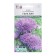 Flower seeds Astra densely Gala Blu, 10 pcs