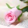 Artificial flowers "Bunny Rose" 5x50 cm, pink
