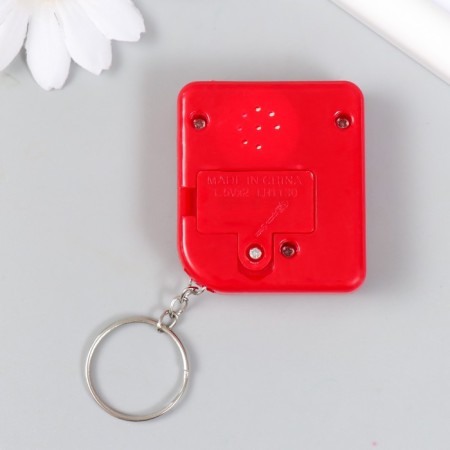 Plastic keychain on the Ring "Electronic Puzzle" mix 1.5x5x5.4 cm-3