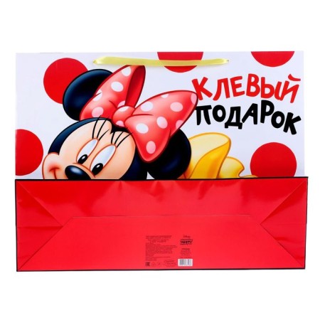 Laminated horizontal package, 46 x 61 cm "for the most stylish!", Minnie Mouse-3