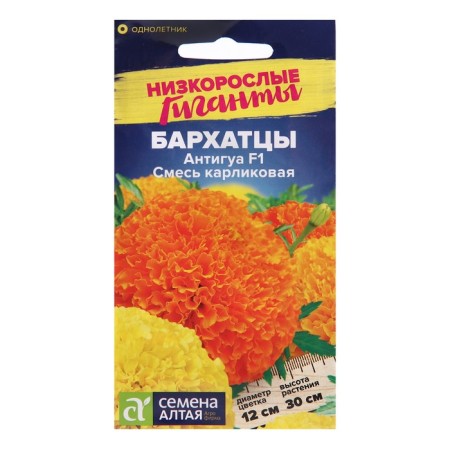 Flower seeds of velvet antigua, a dwarf mixture, sed. Alt, c/n, 5 pcs-2