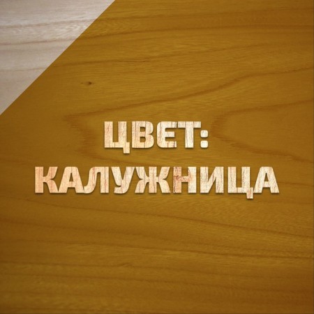 Antiseptic Iceeptic in natural linseed oil VDPF-1601 Kaluga 1 L-1