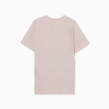 T-shirt male collorista color dark beige river 46-48-4