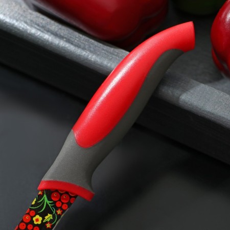 Kitchen knife with an anti -wagoning coating of the Dilan "Russian Disor", blade 8 cm-2