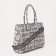 Luggage bag, long belt, gray color