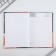 Diary A5, 80 liters, a solid cover "The most class teacher"