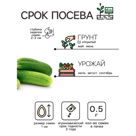 Cucumber seeds "Phoenix", 0.5 g-1