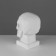 Anatomical gypsum figure: skull (cast with natural), 19 x 14 x 25 cm