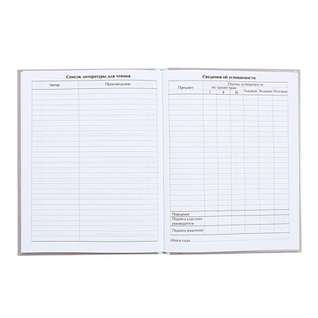 Universal diary for grades 1-11, "kittens", solid cover 7BC, glossy lamination, 40 sheets-8