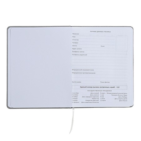 The universal diary for grade 1-11 did not take the sausage, solid cover, artificial leather, with foam rubber, liesse, 80 g/m2-3