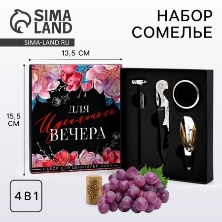 Gift set of corkscrew, aerator, cap, thermometer "for the evening", 14 x 16 cm-5