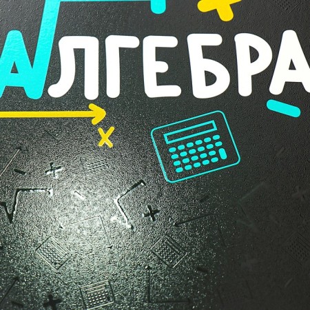 Subject notebook, 48 sheets, cage, algebra, Erichkrause "Inscription", Twin-Lalam Cardboard cover, OFSET BELICT 100%, info block-2