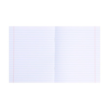 A notebook 48 sheets in the line school memasics "Literature", cover coated cardboard, embossing canvas, OFSET block-2