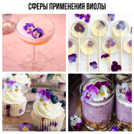 Flowers edible "Viola light blue" for cupcakes, cakes and drinks, 5 pcs.-5