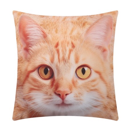 Decorative pillow "Ryzhik"-2