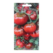 Seed Tomat 