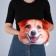 Antistress Pillow "Corgi"
