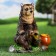 Garden figure "Bear with honey" 29x31x19cm