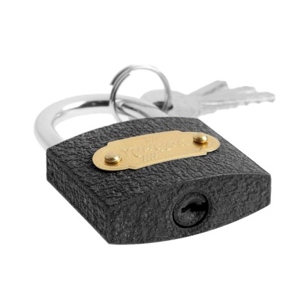 Castle of the hinged tundra ZN1038, 38 mm-3
