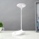 Sensory table lamp 16749/1 LED 2W 6000K USB AKB White 13x11x39 cm Risalux