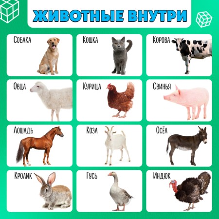 Developing transformer "smartik: pets"-3