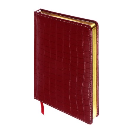 Dated diary 2025 b6 168 sheets, Devente. Wild, a solid cover to leatzers with foam rubber, perforation, liesse, block 70, burgundy-1