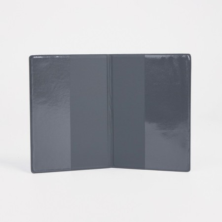 Cover for passport, blue color-2