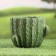 Cashpo "cactus" 13x16x14cm