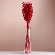 Set of dried flowers 