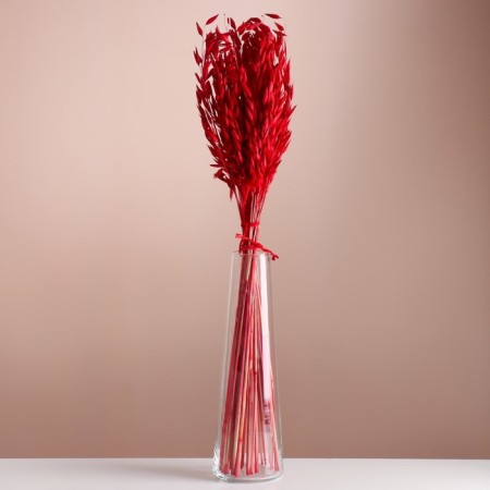 Set of dried flowers "oats", banch length 60-65 (+/- 6 cm), red