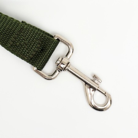 Leash 2 m x 2.5 cm, green-1