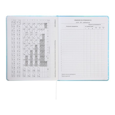 Universal diary for grade 1-11 Cool Girl, hard cover, artificial leather, silkography, lies, 80 g/m2-11