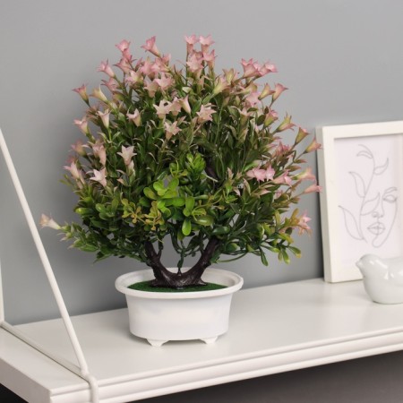 Bonsai in the Liliana Premium pot 25x12 cm, mix-2