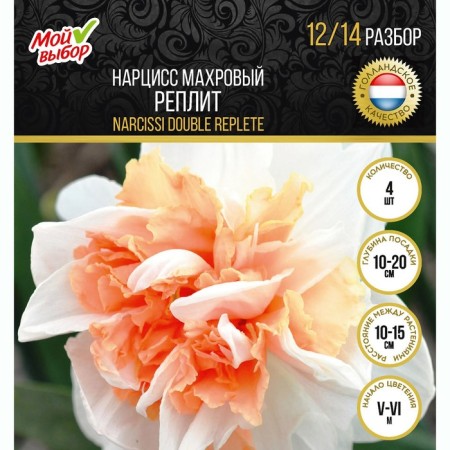 Narcissus Terry Treasury, rr 12/14, 4 pcs, autumn 2024-2