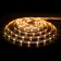 Elektrostandard LED strip, IP20, 5050, 60LED/m, 24V, MIX RGB/glow daytime white