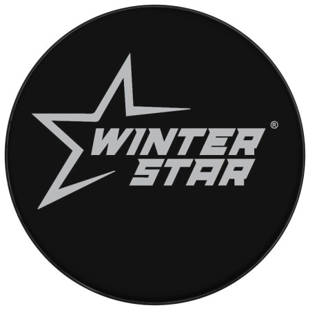 Шайба хоккейная Winter Star, взрослая, d=7,6 см-1