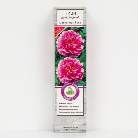 Pion tree peony (vaccinated on grassy) "Floral dew", 1 pc, tube, spring 2025