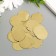 Sequins "circle" gold set 30 g d = 2.5 cm