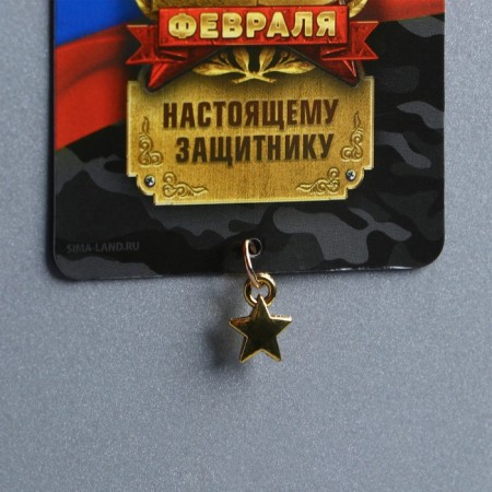 Magnet with the suspension "Real Defender", 6 x 8 cm-5